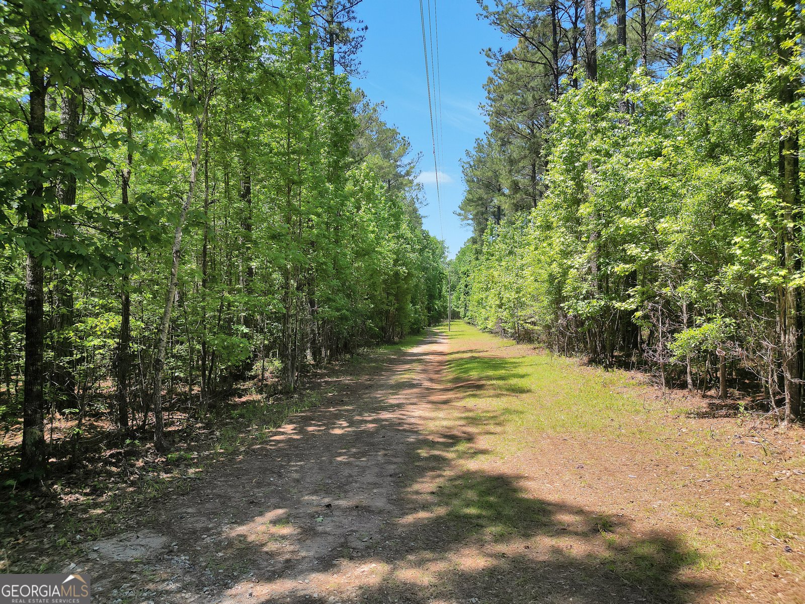 715 Concord Road Shady Dale - Photo 33