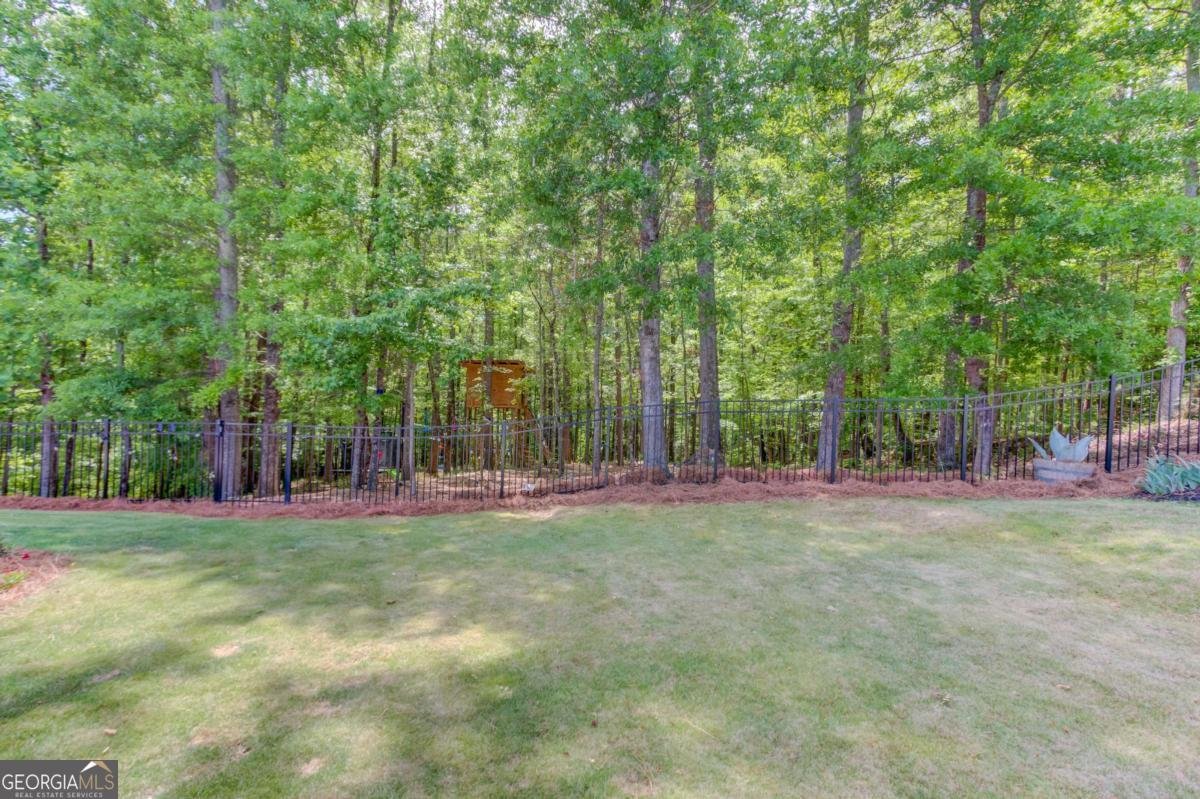 6580 Red Hawk Way Hoschton - Photo 58