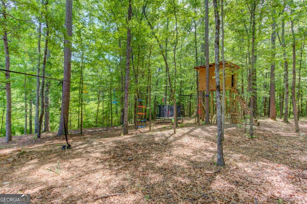 6580 Red Hawk Way Hoschton - Photo 59