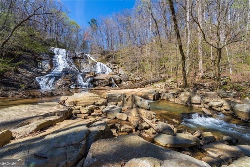 1103 Apple Pie Ridge Road Alto - Photo 10