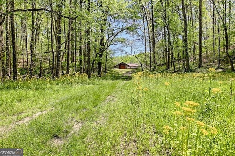 1103 Apple Pie Ridge Road Alto - Photo 128