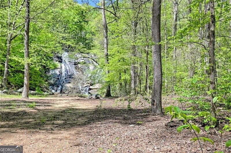 1103 Apple Pie Ridge Road Alto - Photo 129