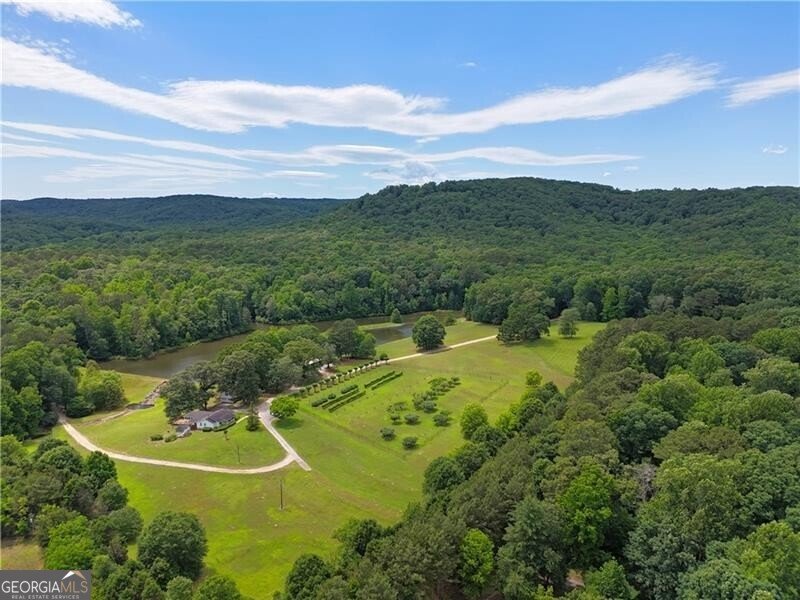 1103 Apple Pie Ridge Road Alto - Photo 13