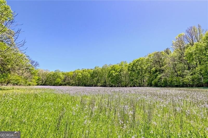 1103 Apple Pie Ridge Road Alto - Photo 133