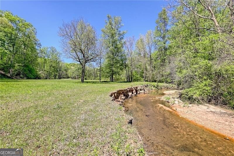1103 Apple Pie Ridge Road Alto - Photo 134