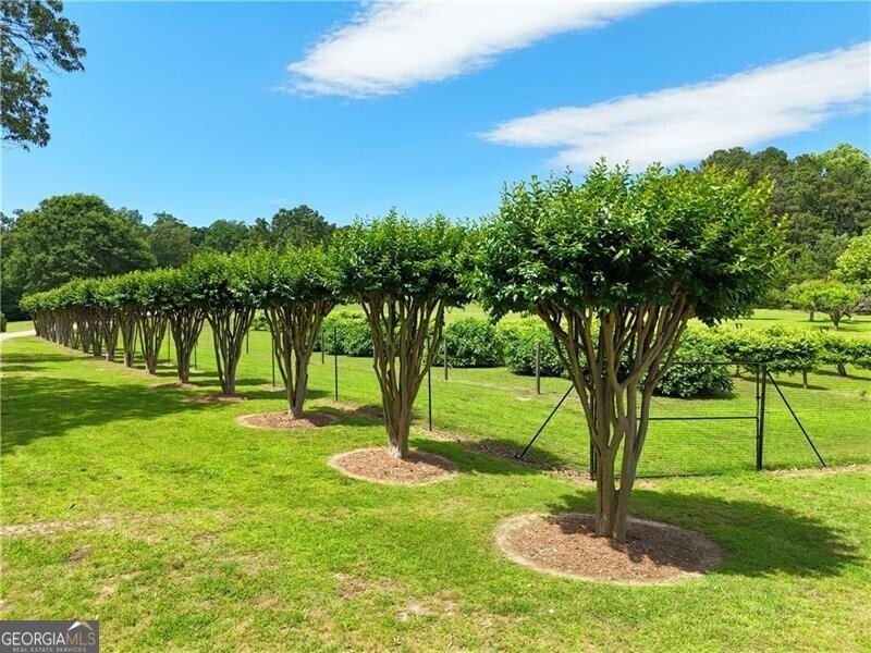 1103 Apple Pie Ridge Road Alto - Photo 147