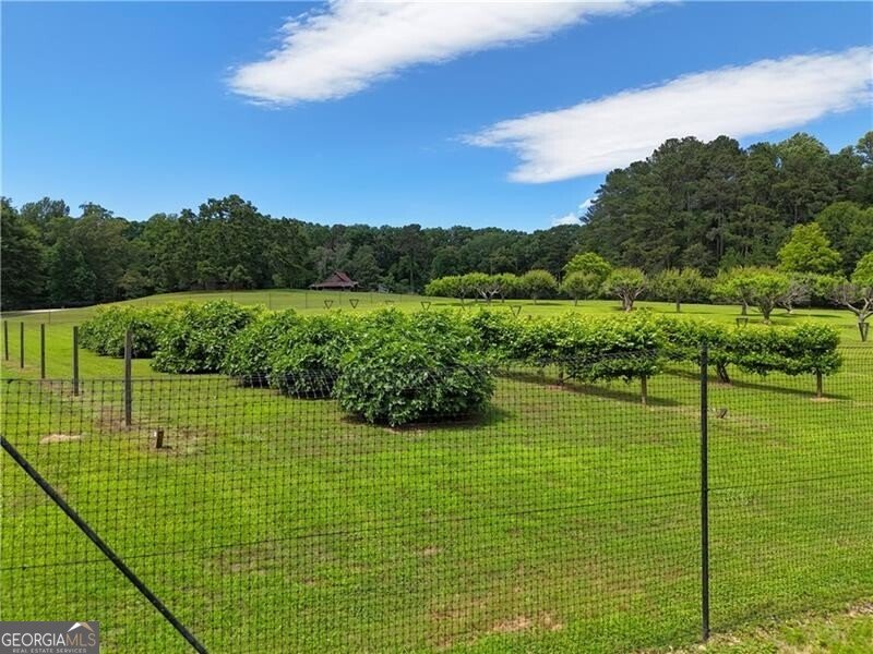 1103 Apple Pie Ridge Road Alto - Photo 148