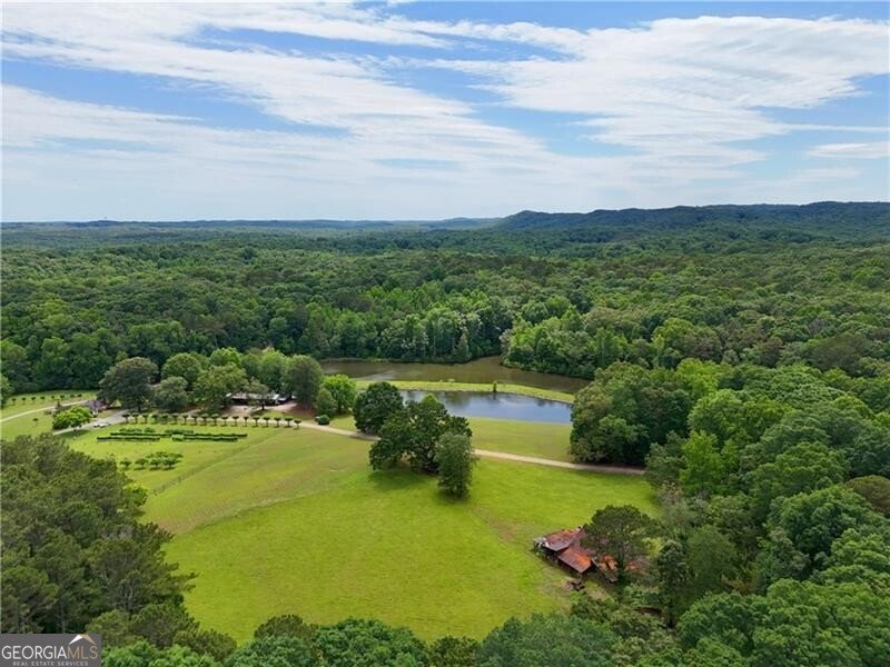 1103 Apple Pie Ridge Road Alto - Photo 149