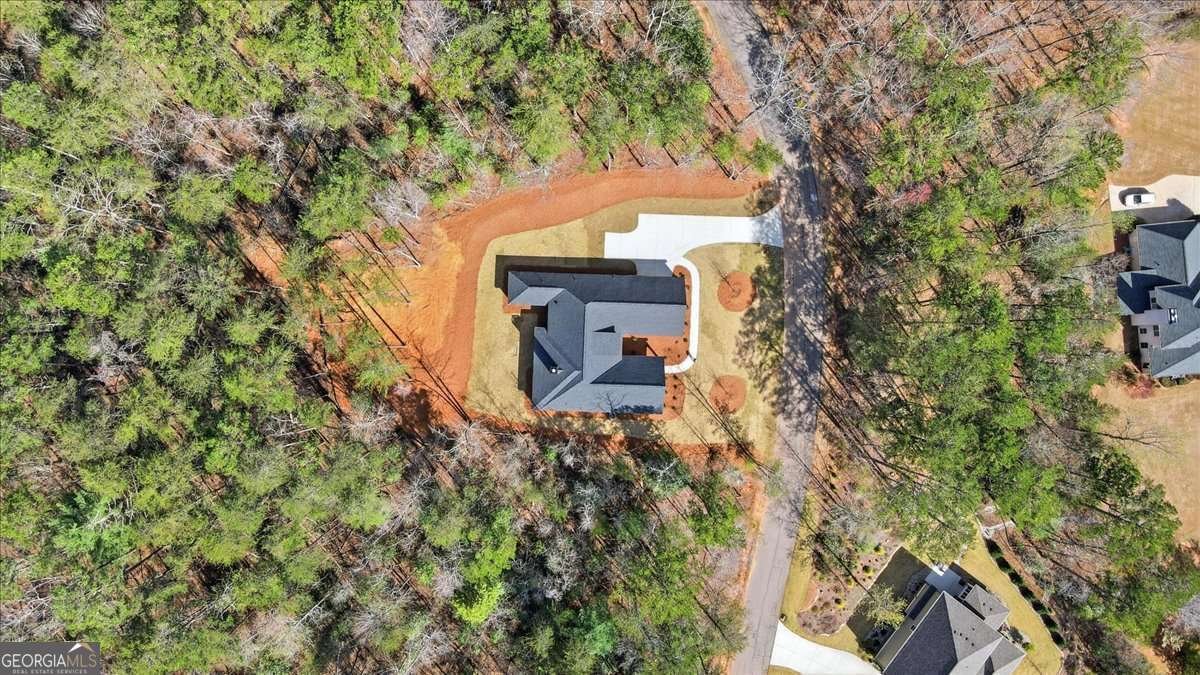 125 Scarlett Pippin Drive Clarkesville - Photo 51