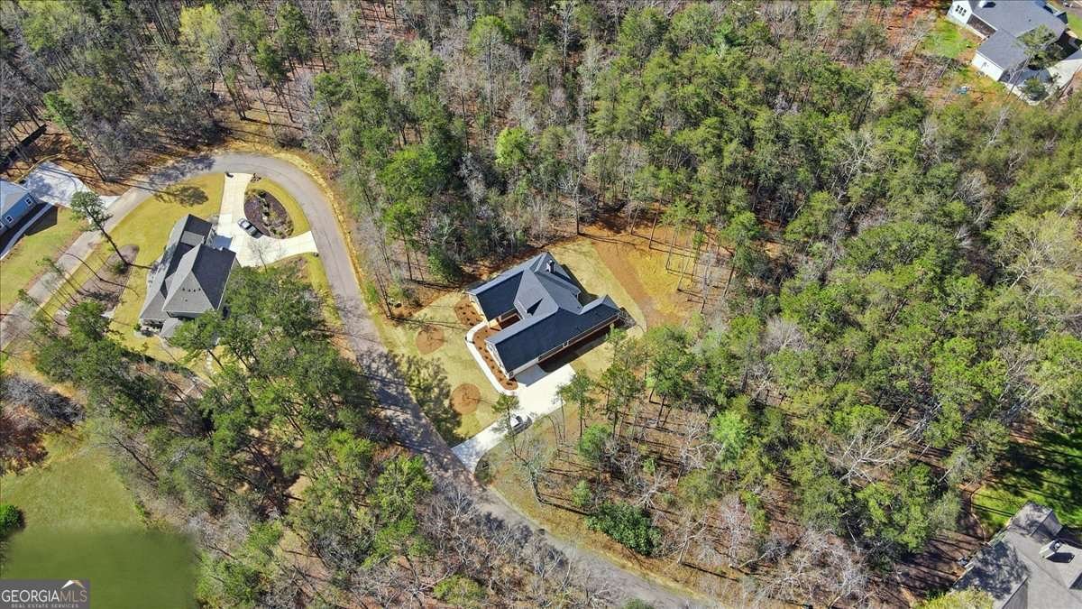 125 Scarlett Pippin Drive Clarkesville - Photo 52