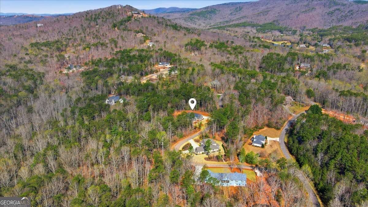 125 Scarlett Pippin Drive Clarkesville - Photo 57