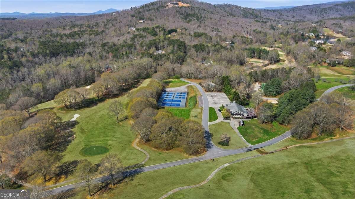 125 Scarlett Pippin Drive Clarkesville - Photo 59