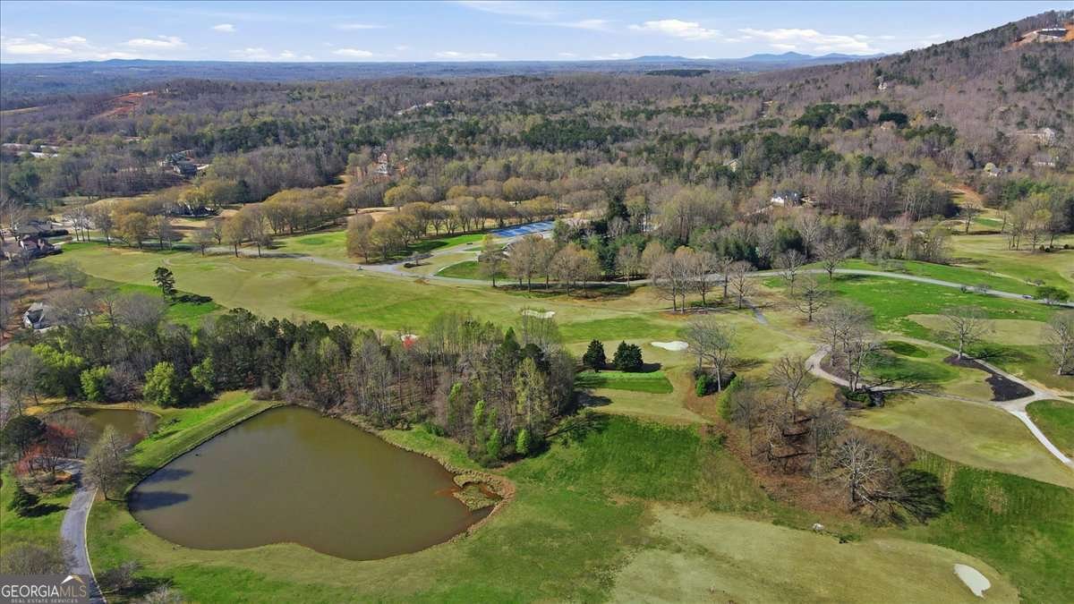 125 Scarlett Pippin Drive Clarkesville - Photo 61