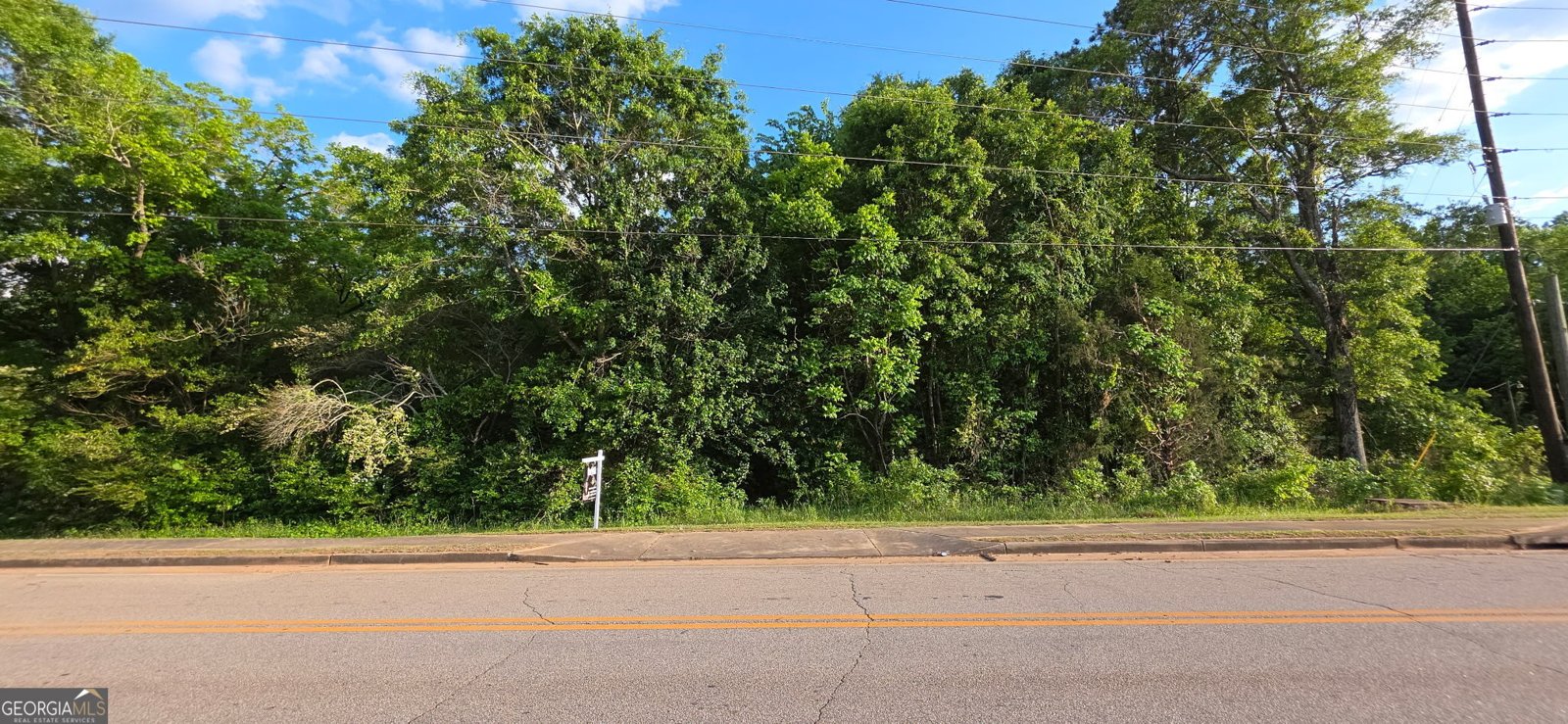 0 County Farm Road Zebulon - Photo 1