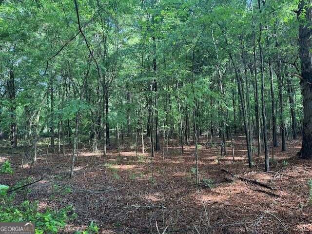 319 McCarty Street Sandersville - Photo 8
