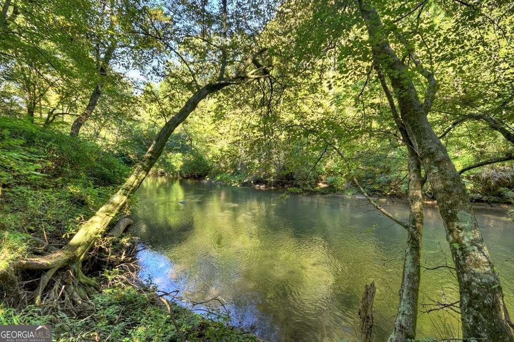 48 Riverwood Trail Ellijay - Photo 8