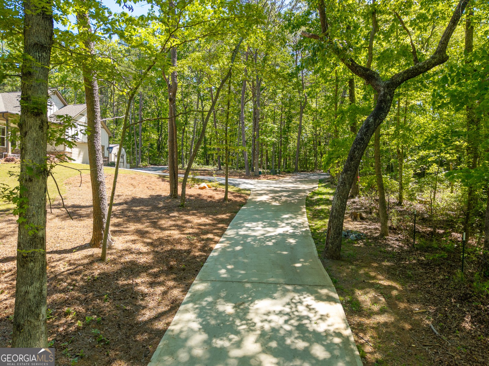 283 Linger Longer Drive Ellijay - Photo 100