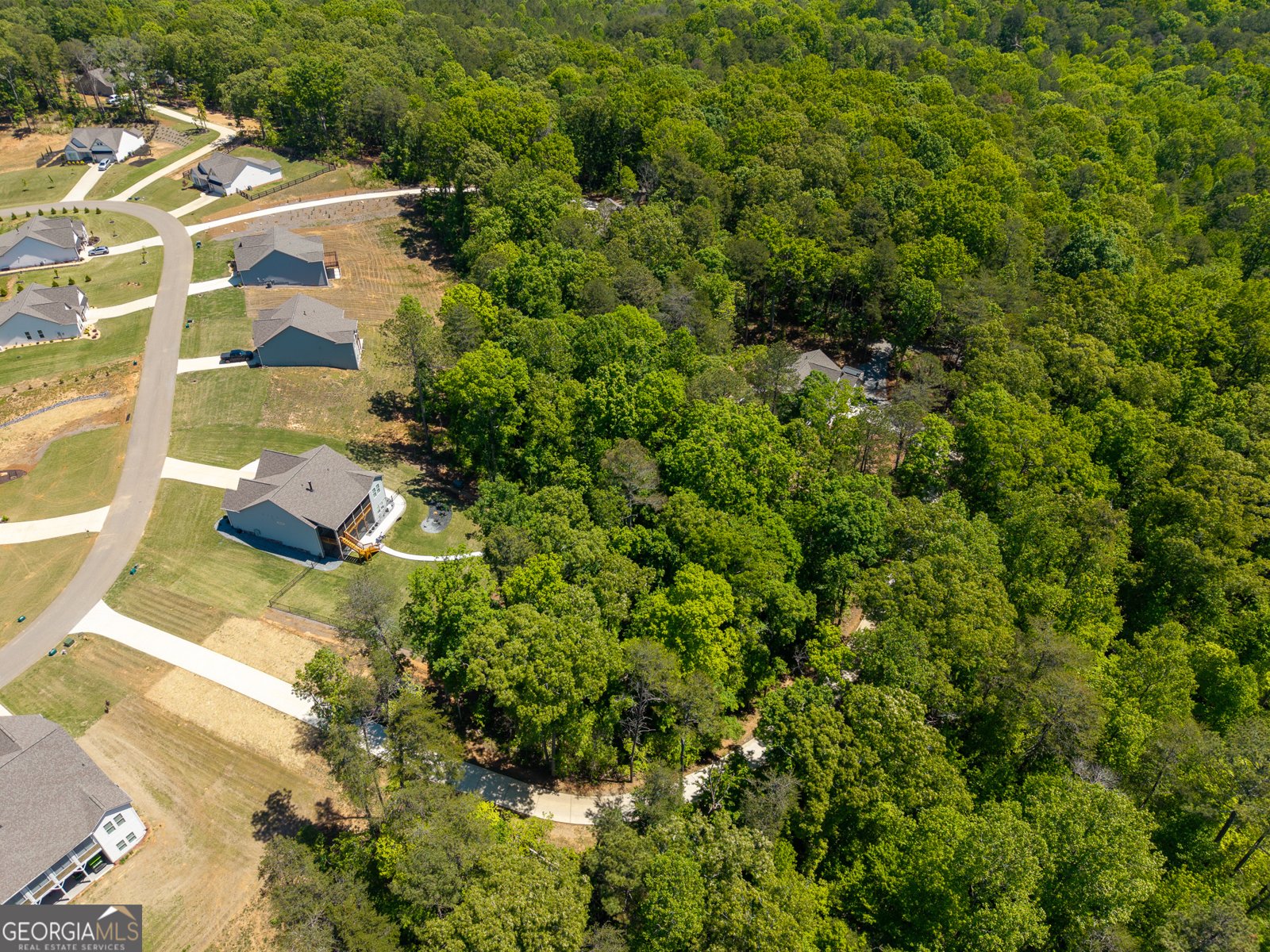 283 Linger Longer Drive Ellijay - Photo 85