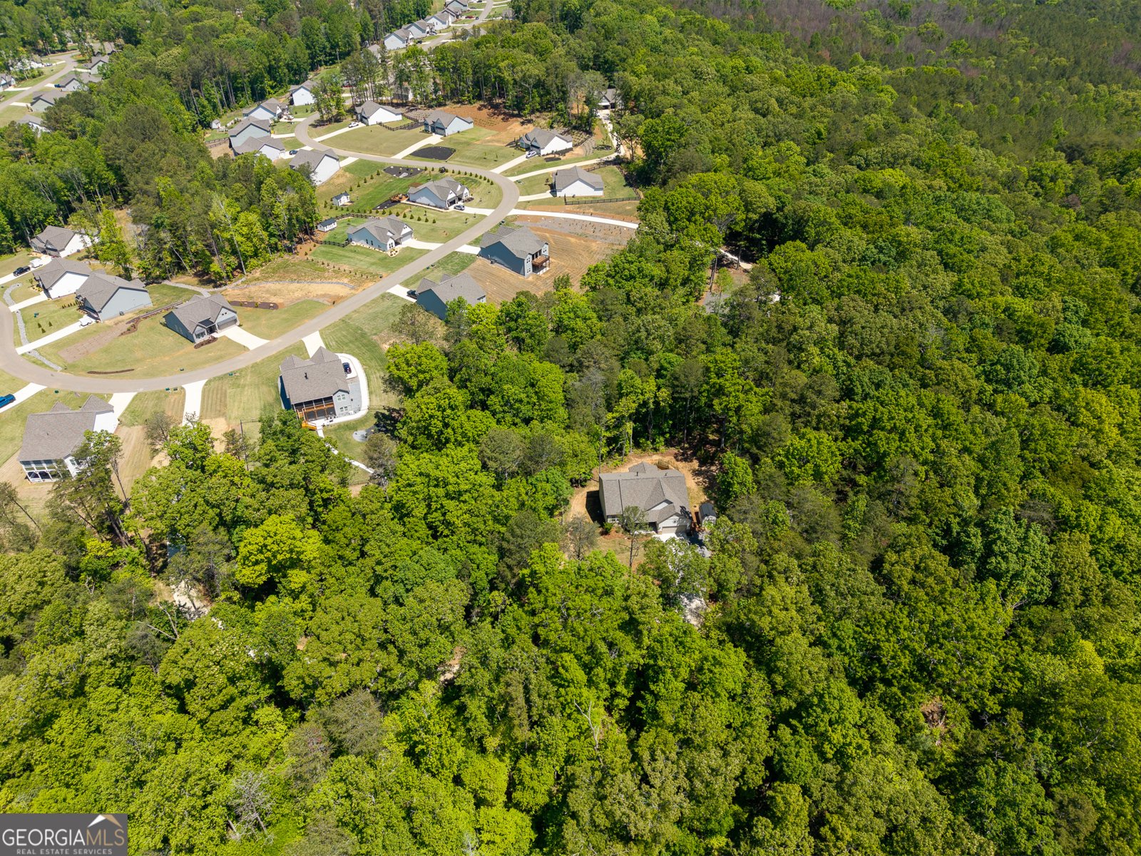 283 Linger Longer Drive Ellijay - Photo 86