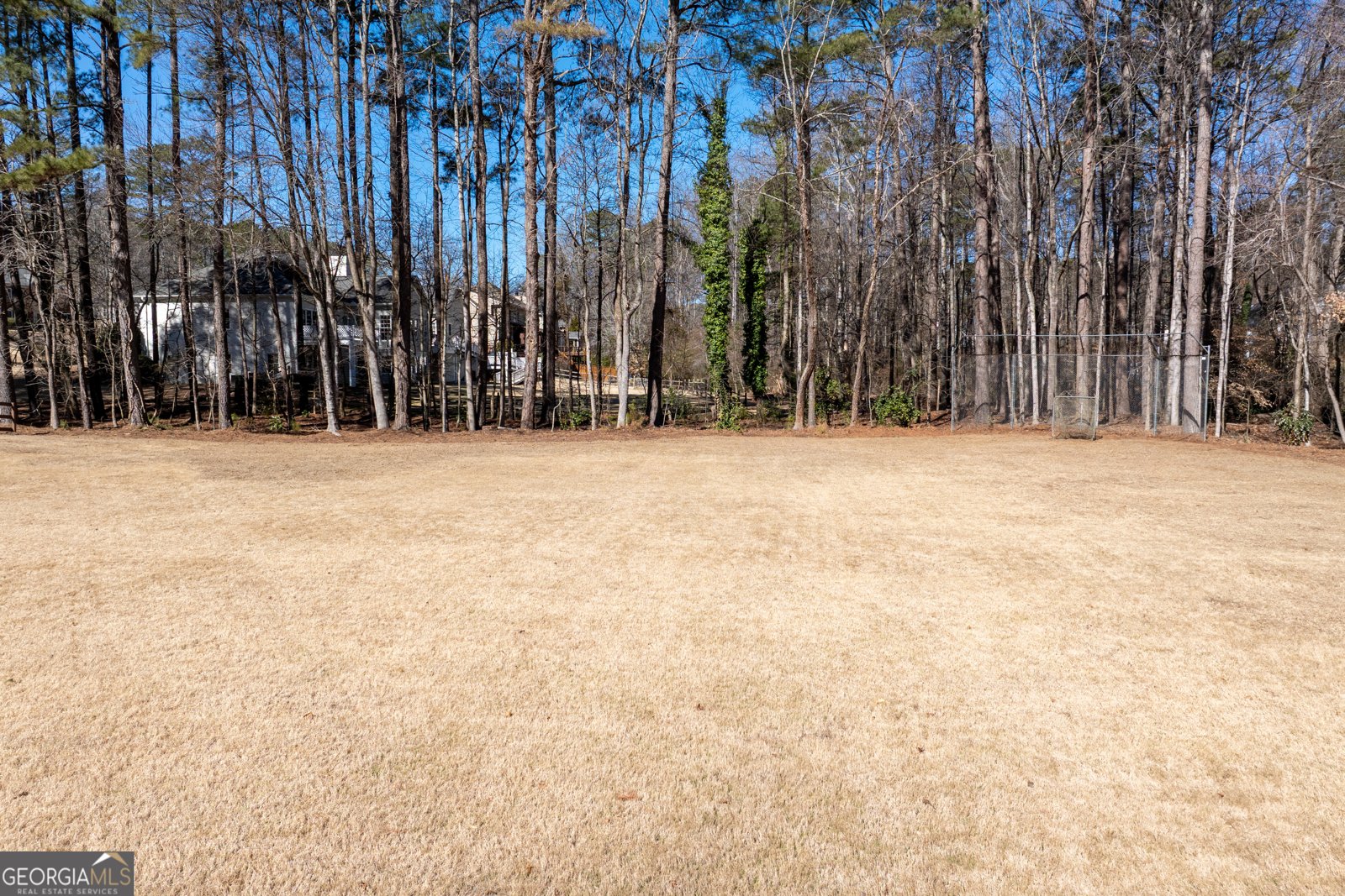 10985 Wilshire Chase Drive Johns Creek - Photo 59