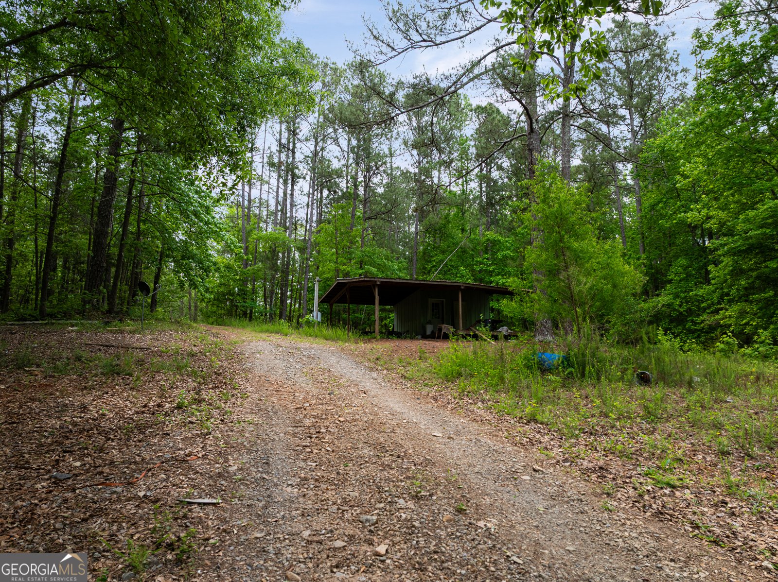 618 Liberty Hill Road Milner - Photo 13