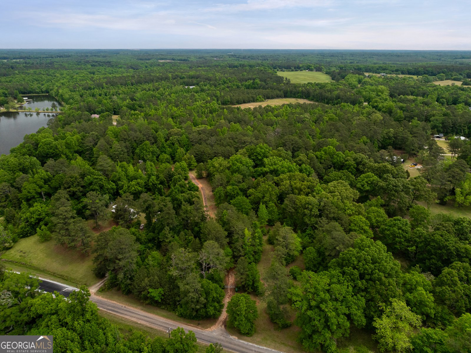 618 Liberty Hill Road Milner - Photo 6