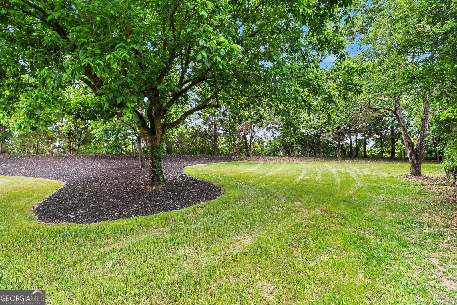 6380 Conner Road Dawsonville - Photo 21