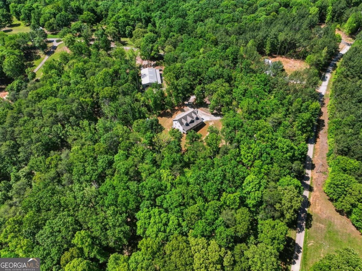 1247 Little Mountain Road Dawsonville - Photo 10