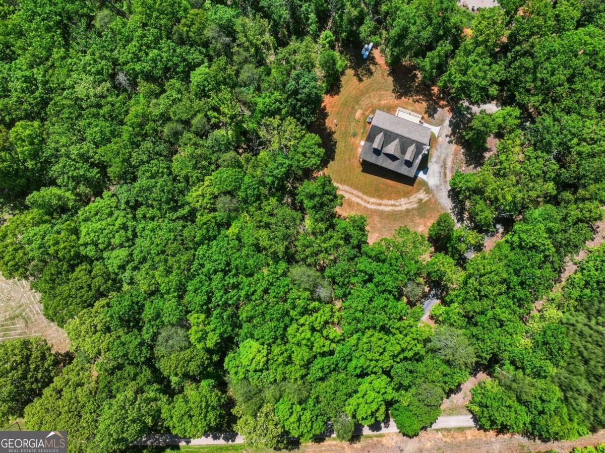 1247 Little Mountain Road Dawsonville - Photo 11