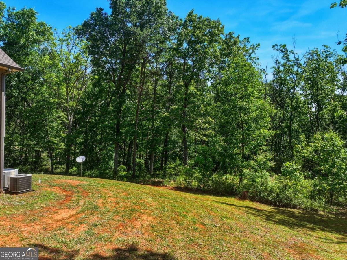 1247 Little Mountain Road Dawsonville - Photo 15