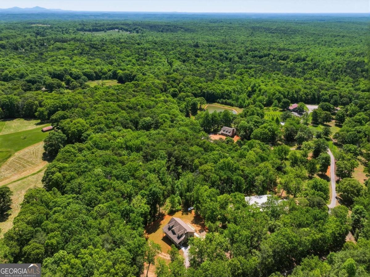 1247 Little Mountain Road Dawsonville - Photo 7