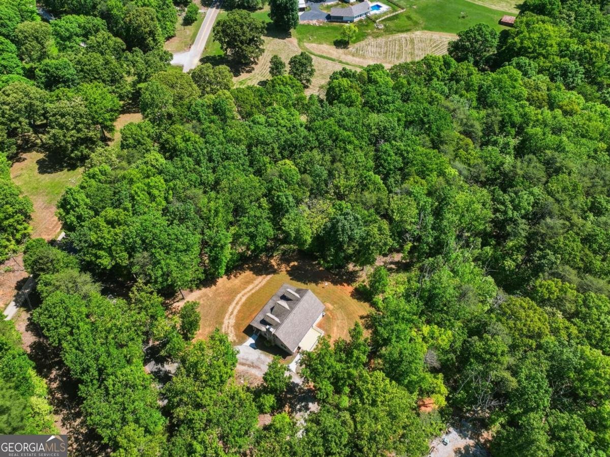 1247 Little Mountain Road Dawsonville - Photo 8