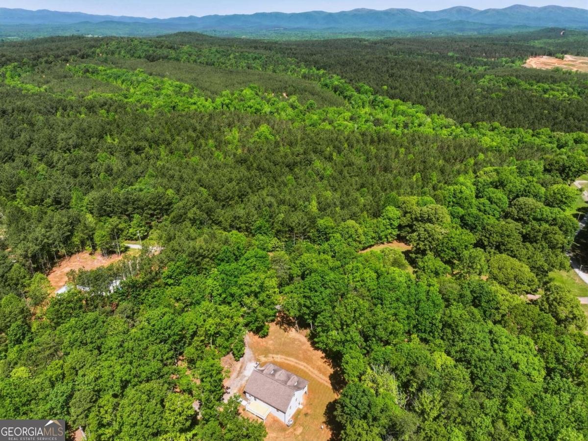 1247 Little Mountain Road Dawsonville - Photo 9