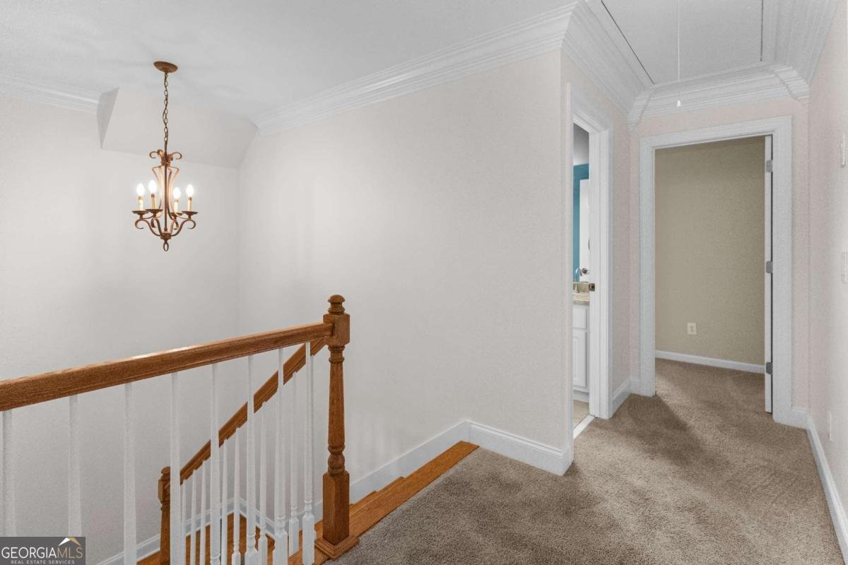 1031 Founders Lake Drive Athens - Photo 61