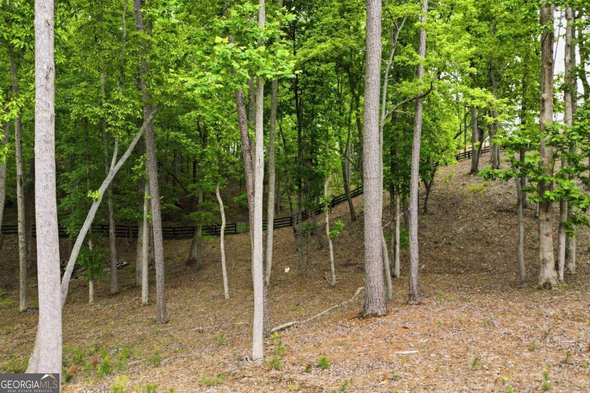 180 Laurel Ridge Lane Ball Ground - Photo 67