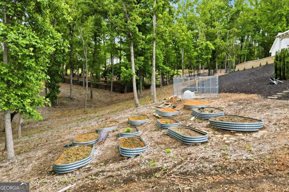 180 Laurel Ridge Lane Ball Ground - Photo 68