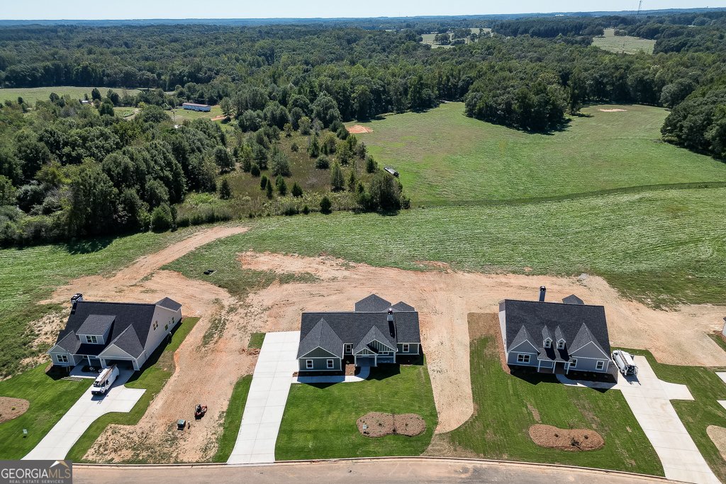 89 Creek Stone Drive Hartwell - Photo 35