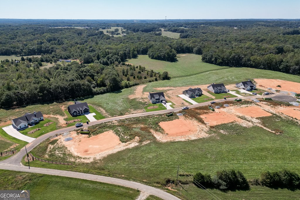 89 Creek Stone Drive Hartwell - Photo 39