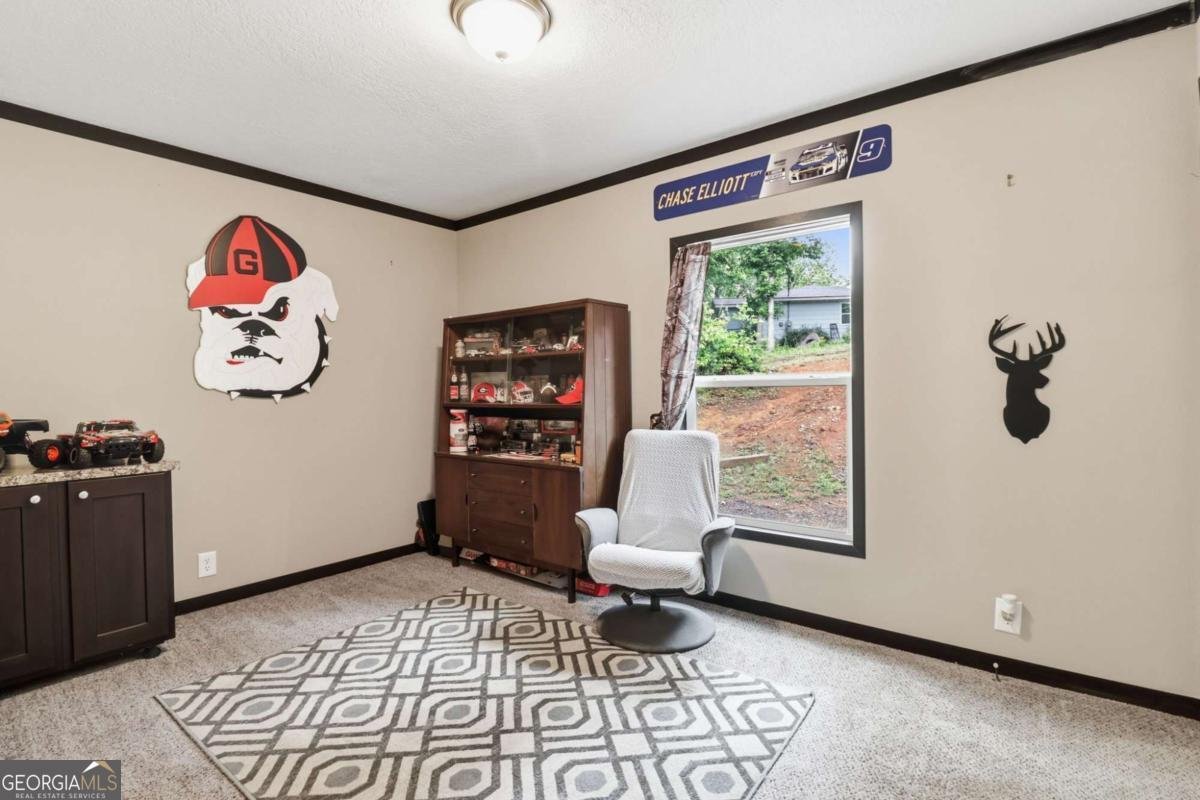8635 Old Keith Bridge Road Gainesville - Photo 19