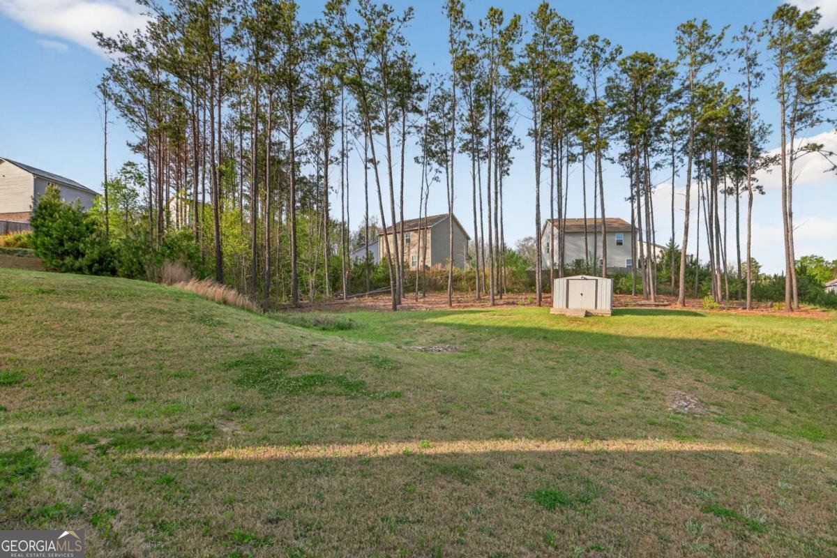 1003 Nandina Court Villa Rica - Photo 22
