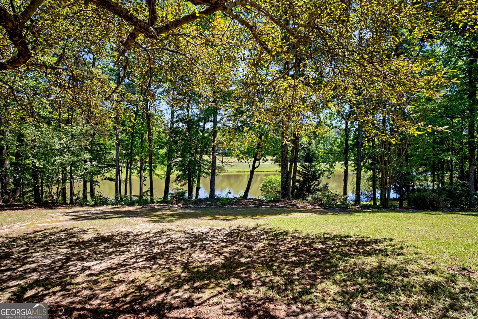 90 Todd Road Senoia - Photo 32