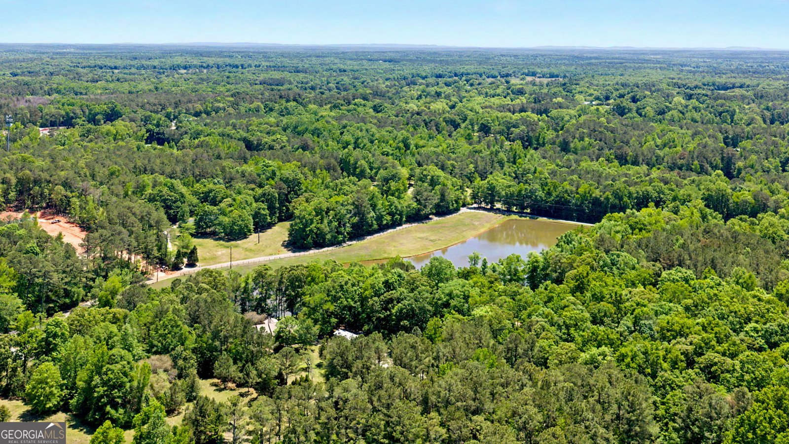 90 Todd Road Senoia - Photo 37