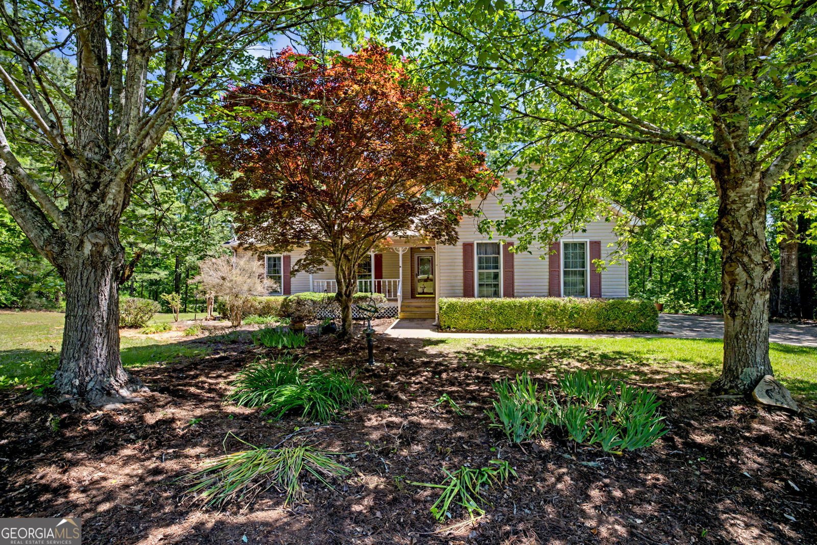 90 Todd Road Senoia - Photo 6