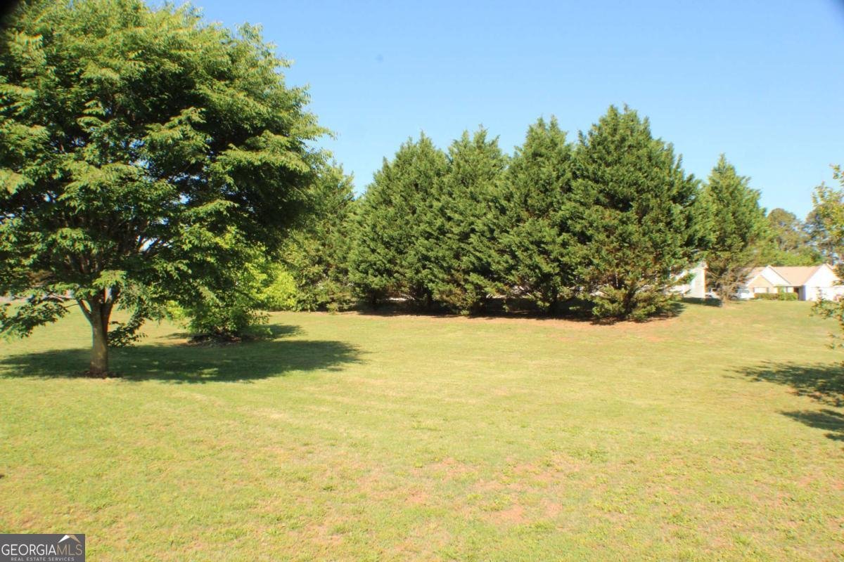 113 Bower Court Winder - Photo 36