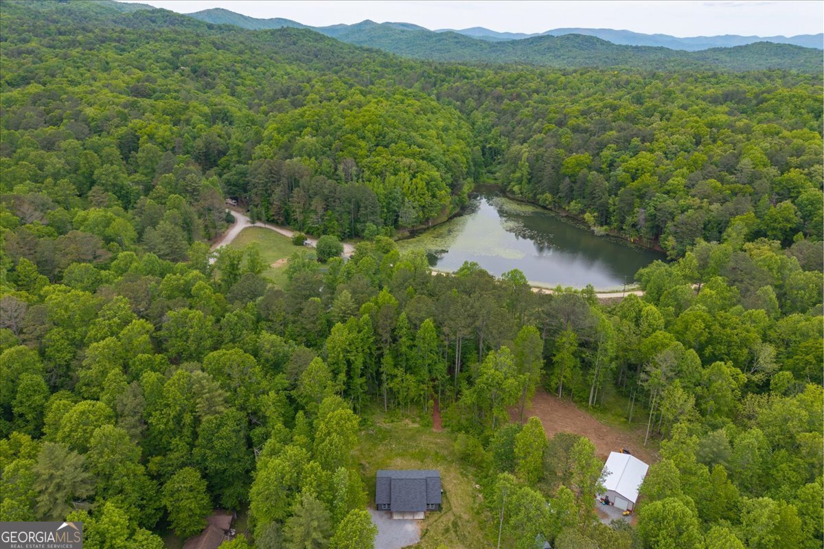 65 Bay Ct Ellijay - Photo 35