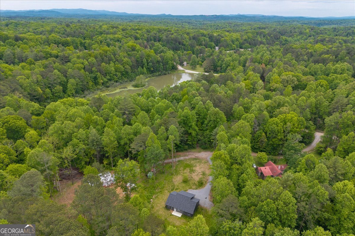 65 Bay Ct Ellijay - Photo 36