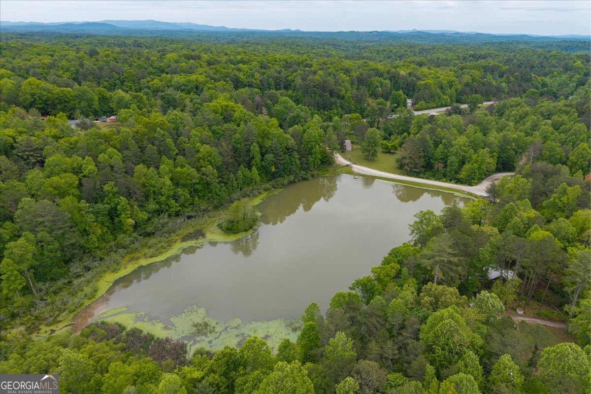 65 Bay Ct Ellijay - Photo 38