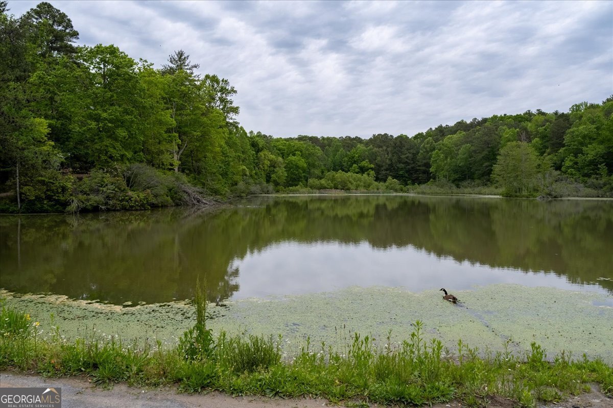65 Bay Ct Ellijay - Photo 41