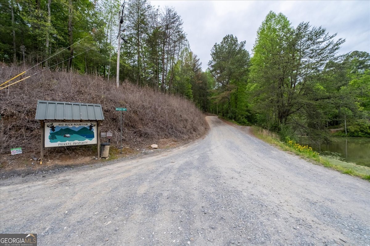 65 Bay Ct Ellijay - Photo 42