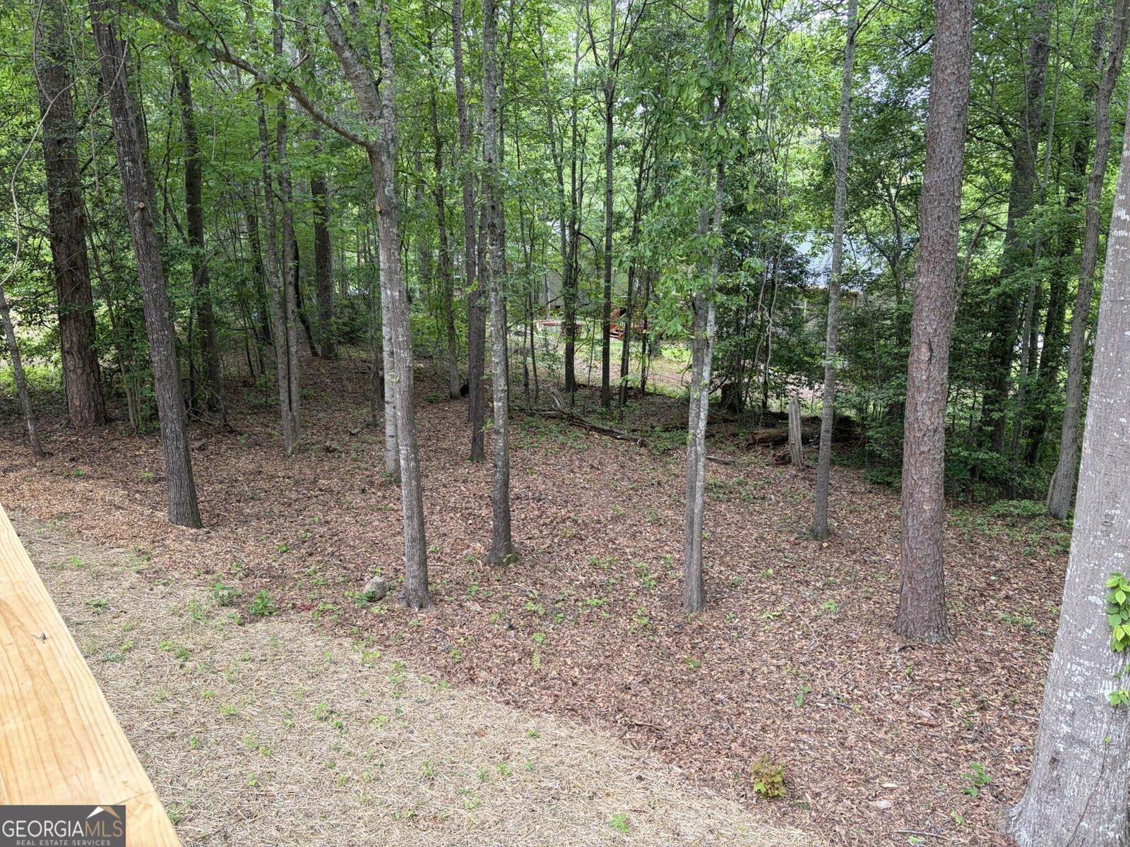 115 Richard Street Clarkesville - Photo 14